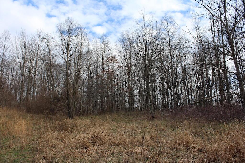 17370 Sweat Road Amesville, OH 45711 - Photo 20 of 22 Gallery Image 20