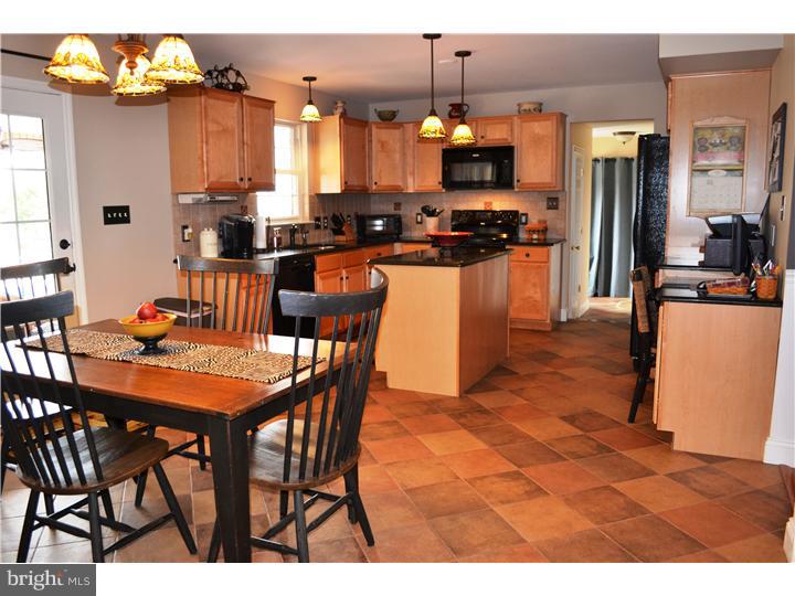 423 Merion Drive Sinking Spring, PA 19608 - Photo 5 of 25 Kitchen