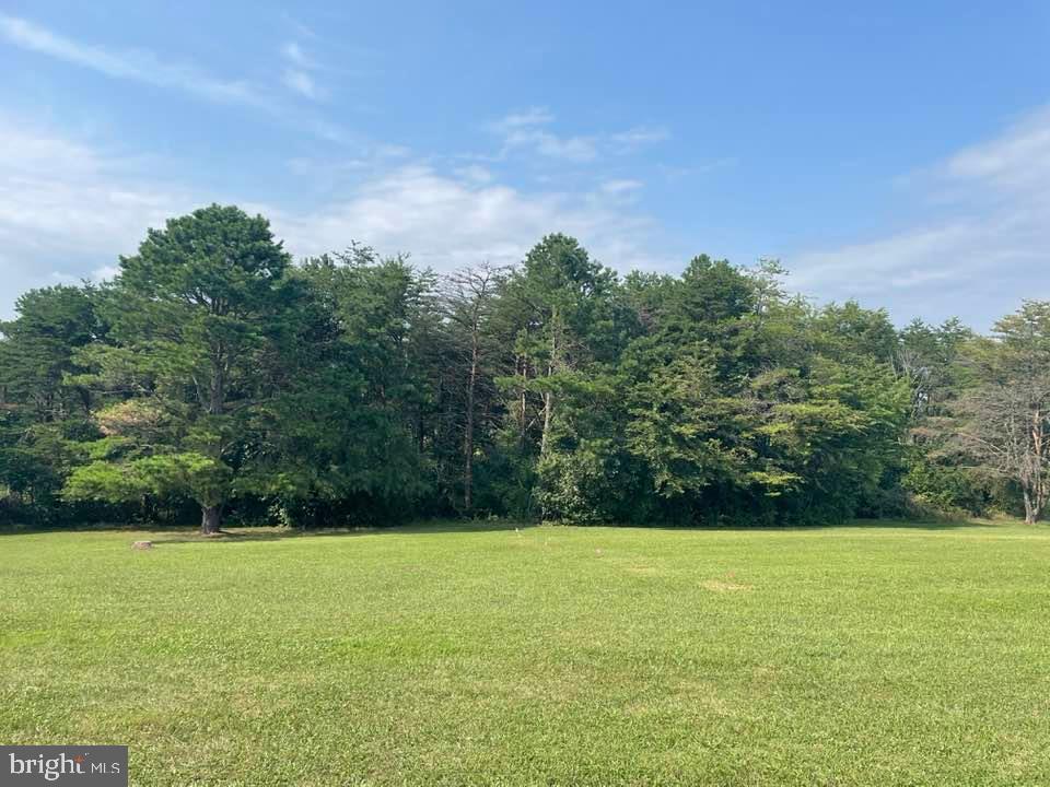 149 Overlook Road Gore, VA 22637 - Photo 12 of 36 Gallery Image 12