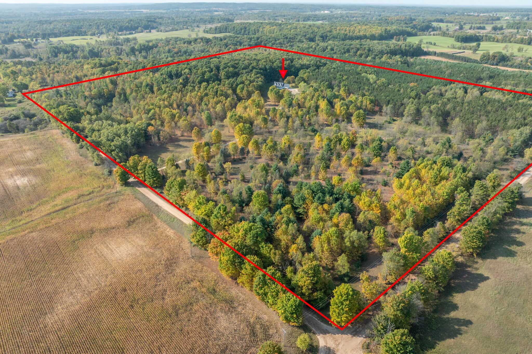 11205 South Lakola Road Reed City, MI 49677 - Photo 3 of 46 birds eye view