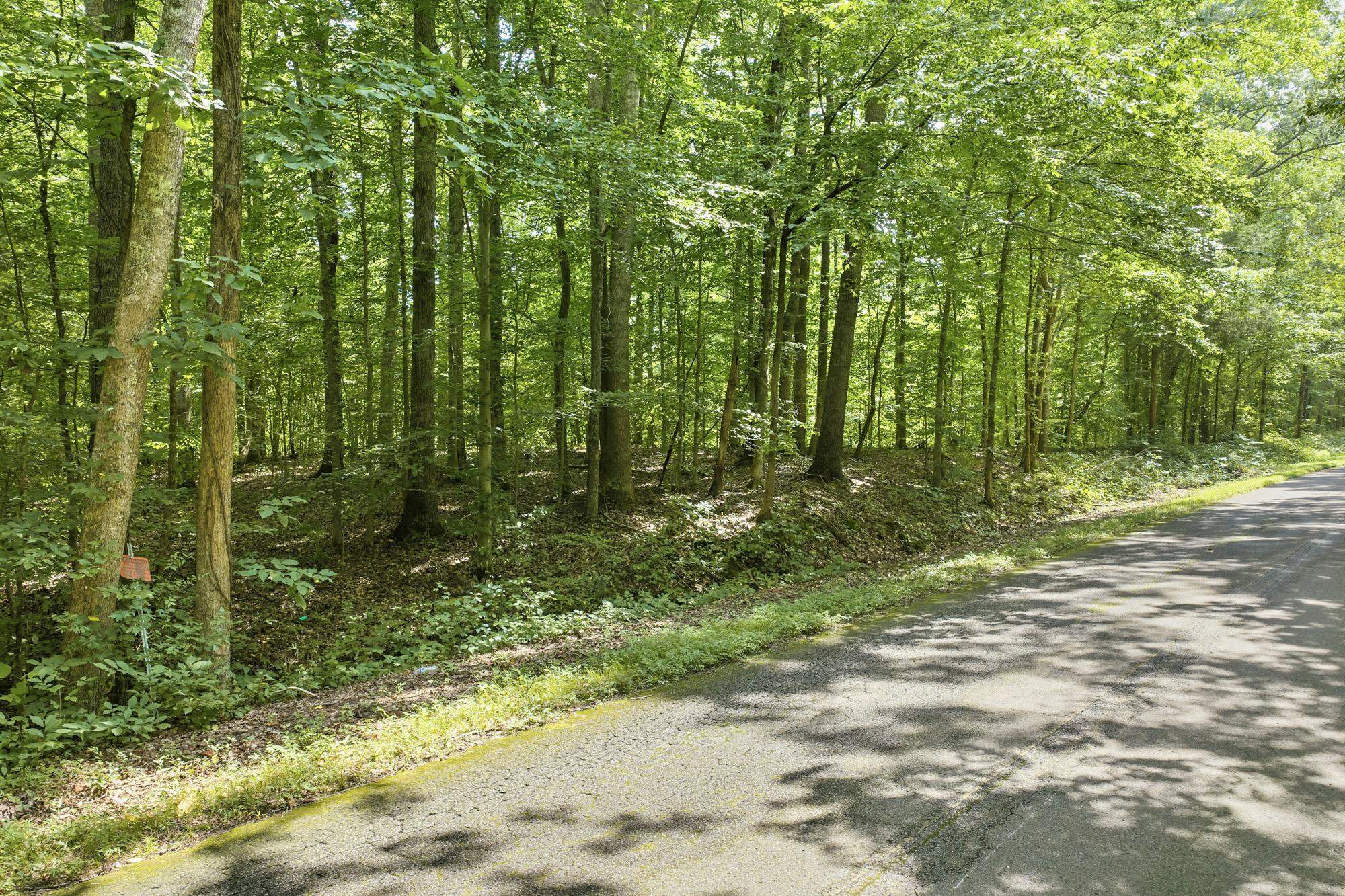 0 Holladay Road Holladay, TN 38341 - Photo 5 of 25 Gallery Image 5