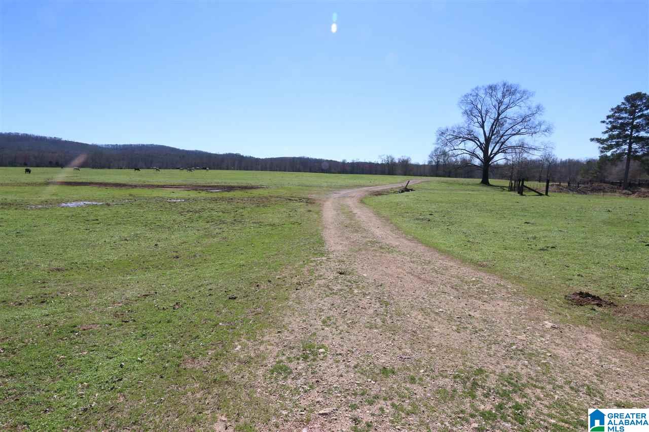 0 Double Bridge Road, Unit 286 Ashville, AL 35953 - Photo 16 of 34