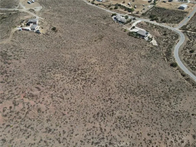 a close up of a plant