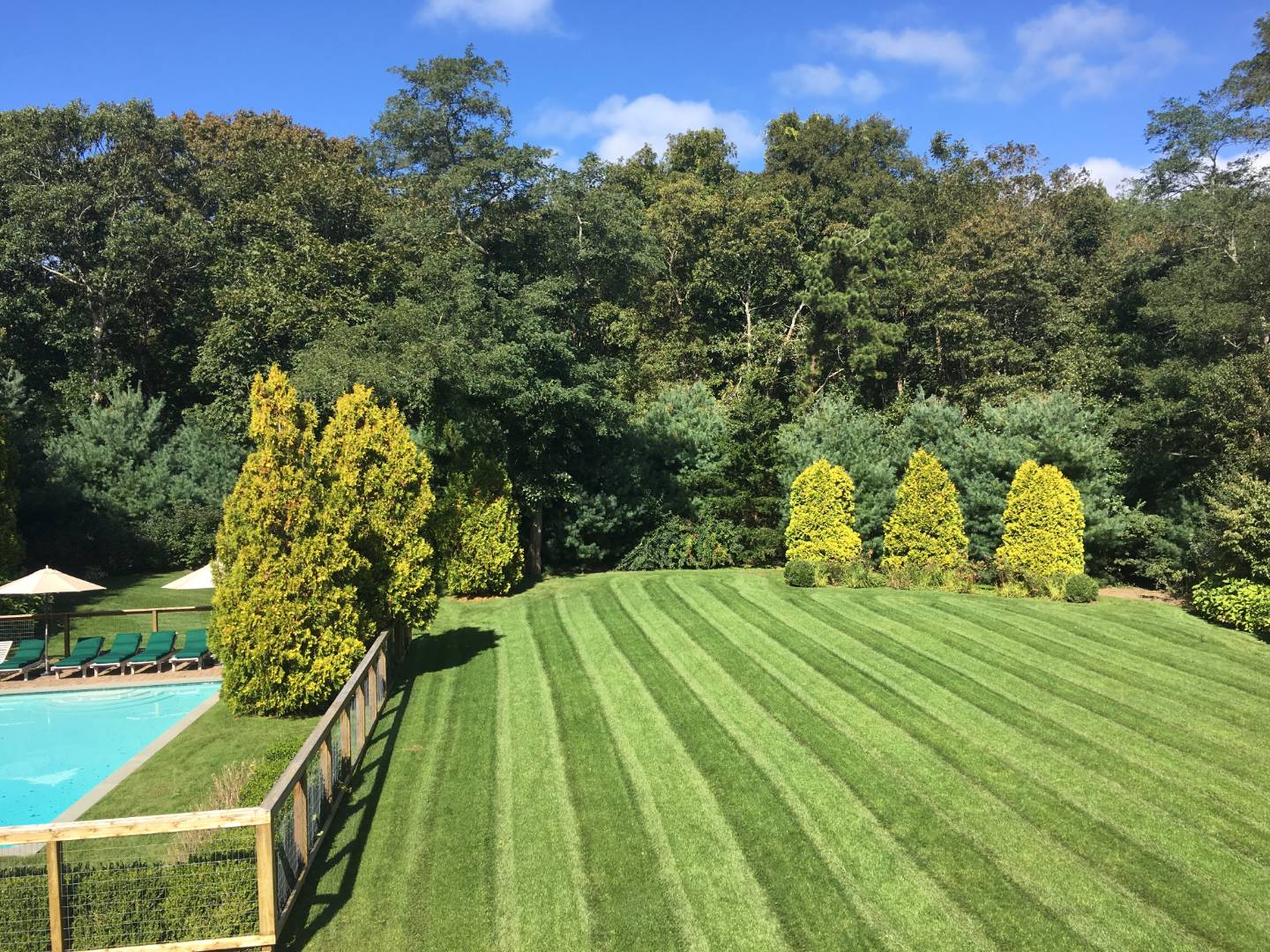 23 Deer Run Water Mill, NY 11976 - Photo 14 of 16 a view of a yard with an outdoor space