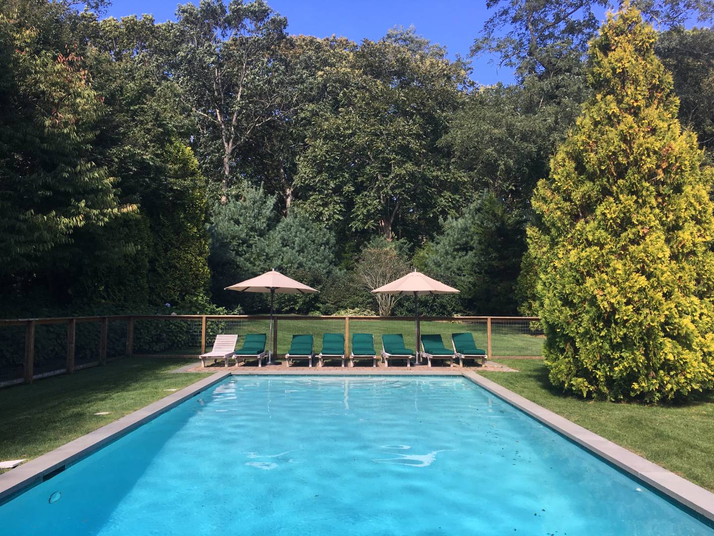 23 Deer Run Water Mill, NY 11976 - Photo 16 of 16 a view of a swimming pool with lawn chairs under an umbrella