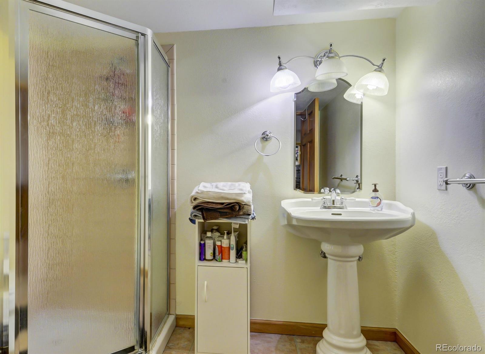 9932 South Spring Hill Place Highlands Ranch, CO 80129 - Photo 25 of 31 a bathroom with a sink a mirror and a shower