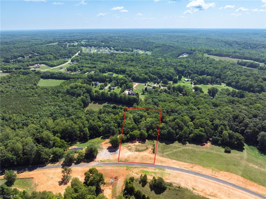 7289 Plunkett Road Stokesdale, NC 27357 - Photo 6 of 27