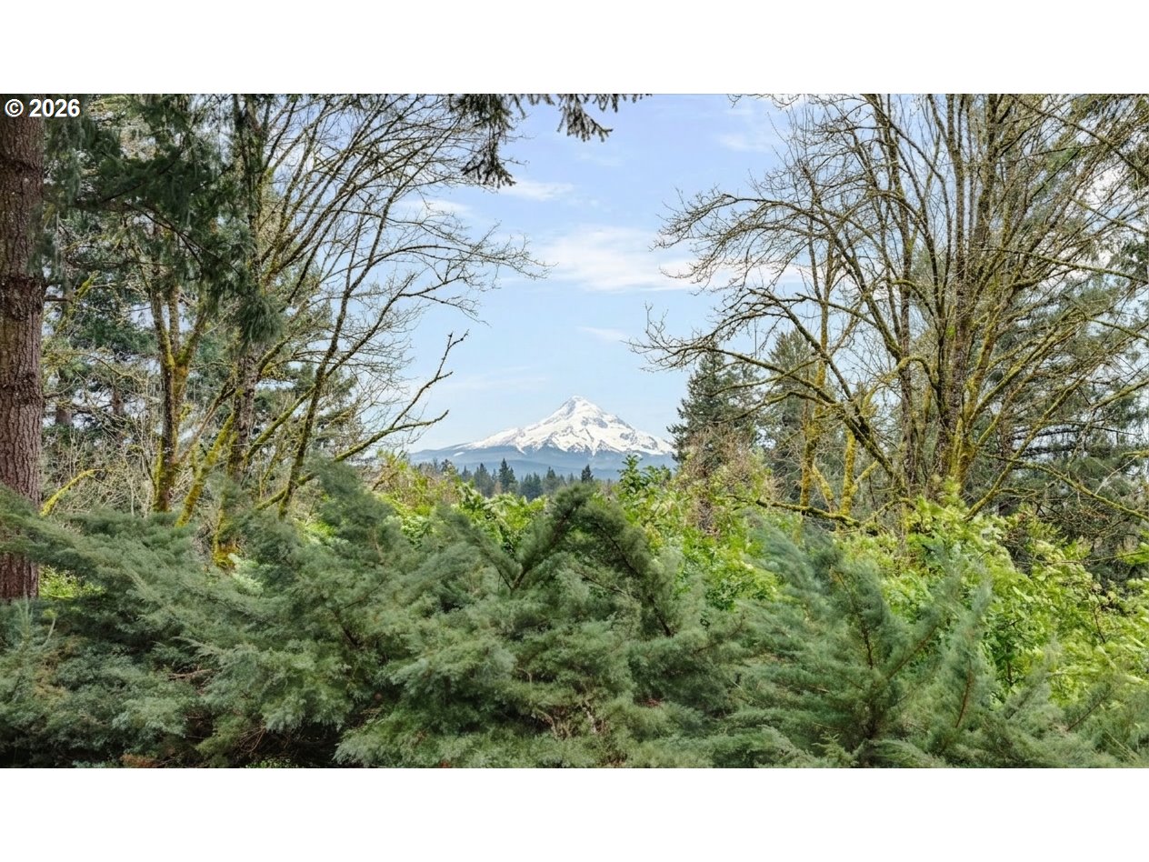 16441 South Henrici Road Oregon City, OR 97045 - Photo 3 of 34