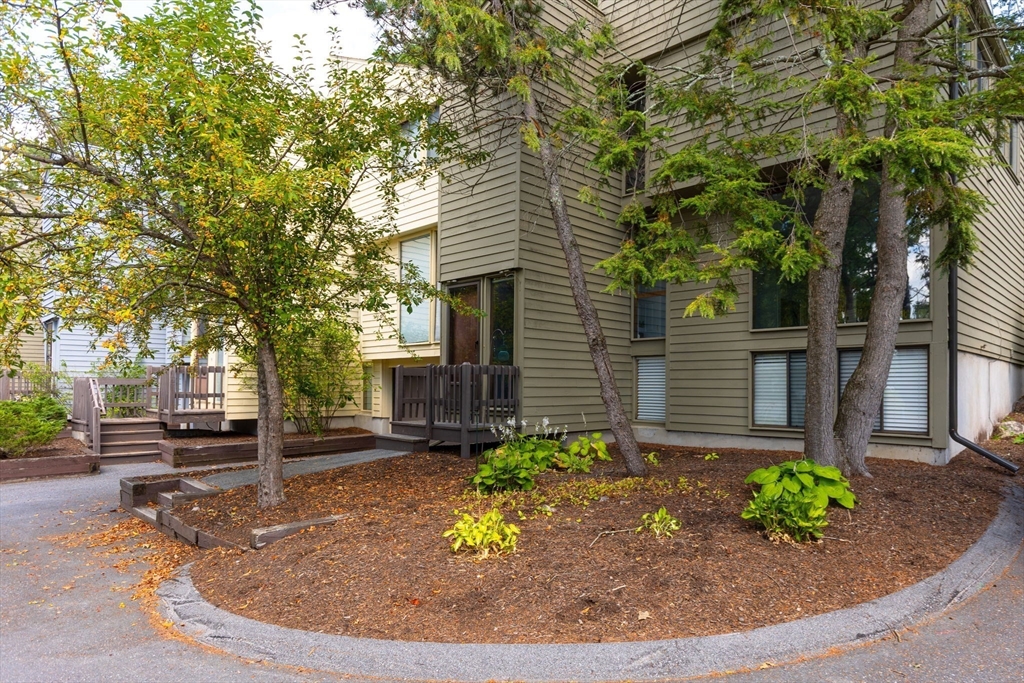 511 Tumbling Hawk, Unit 511 Acton, MA 01718 - Photo 5 of 42 a view of a backyard with plants and large tree