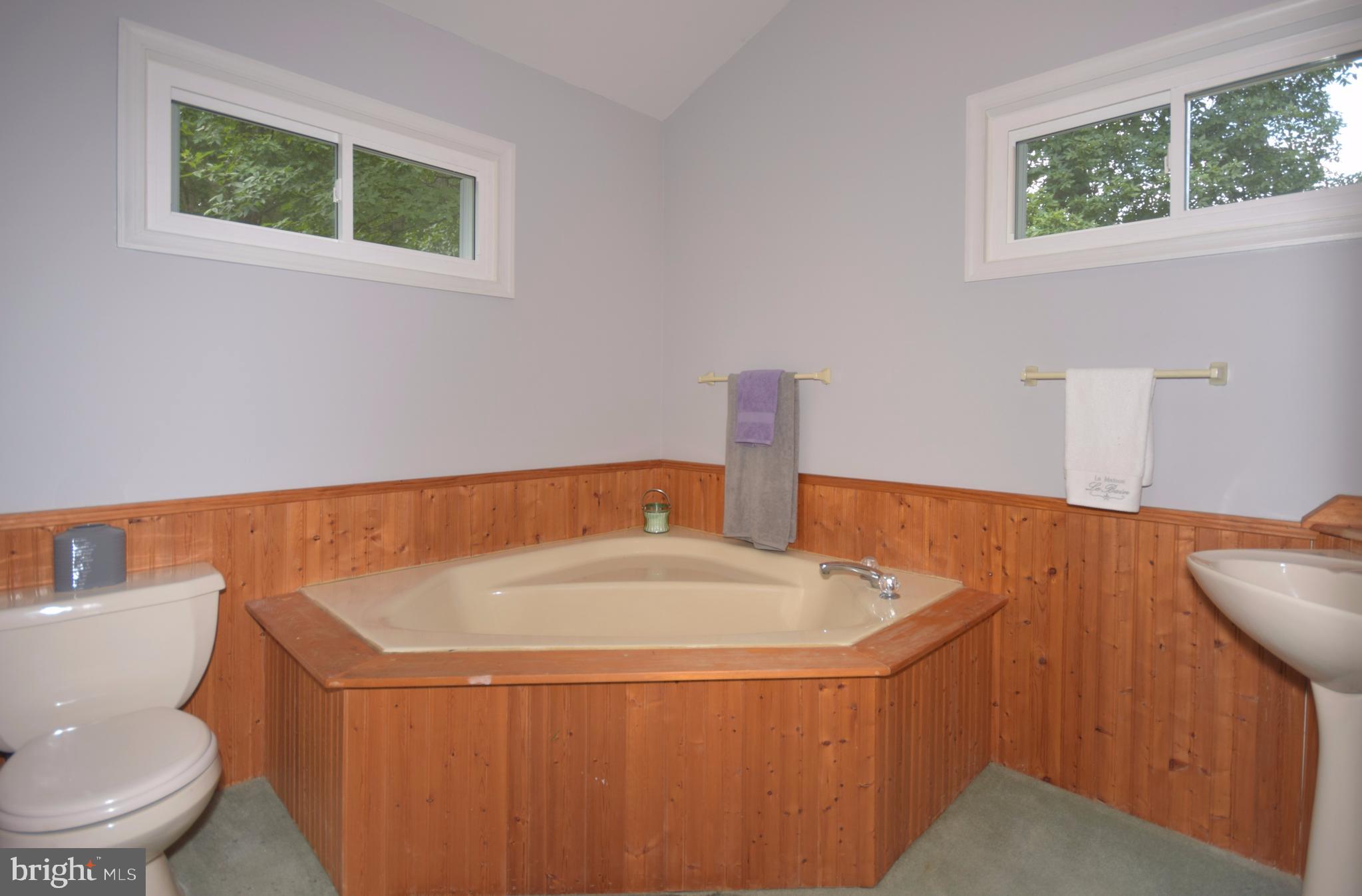 285 Farm Ridge Road Front Royal, VA 22630 - Photo 41 of 60 Soaking tub on upper level