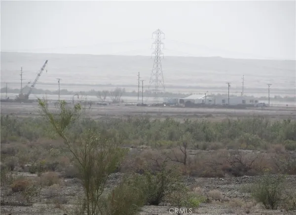 a view of a with large trees