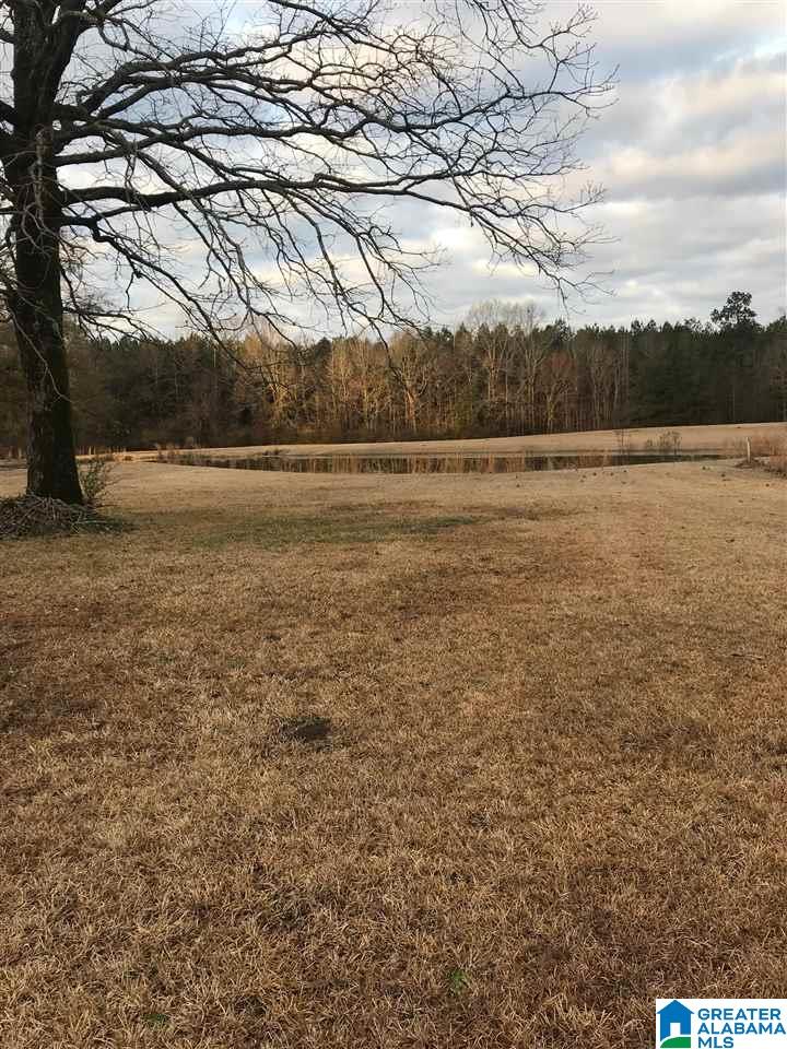 1547 Fulton Gap Road Sylacauga, AL 35150 - Photo 10 of 46