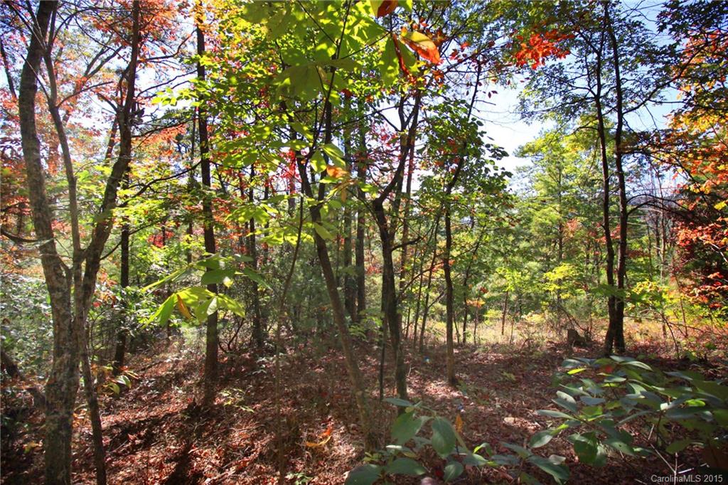Lot 83 Oak Laurel Road, Unit 83 Brevard, NC 28712 - Photo 1 of 14 Gallery Image 1