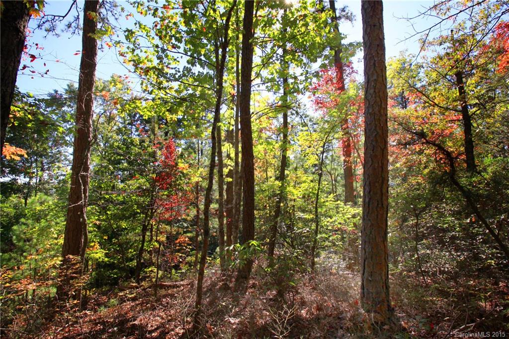 Lot 83 Oak Laurel Road, Unit 83 Brevard, NC 28712 - Photo 11 of 14 Gallery Image 11
