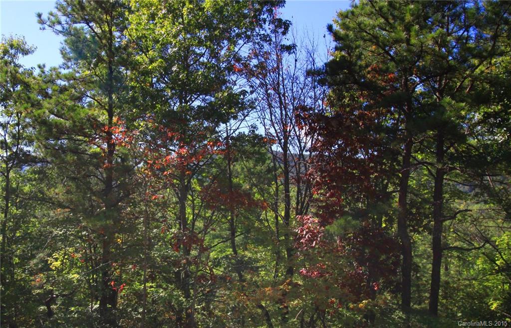 Lot 83 Oak Laurel Road, Unit 83 Brevard, NC 28712 - Photo 12 of 14 Gallery Image 12