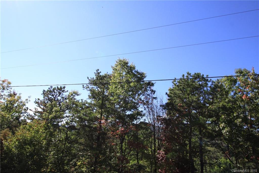 Lot 83 Oak Laurel Road, Unit 83 Brevard, NC 28712 - Photo 13 of 14 Gallery Image 13