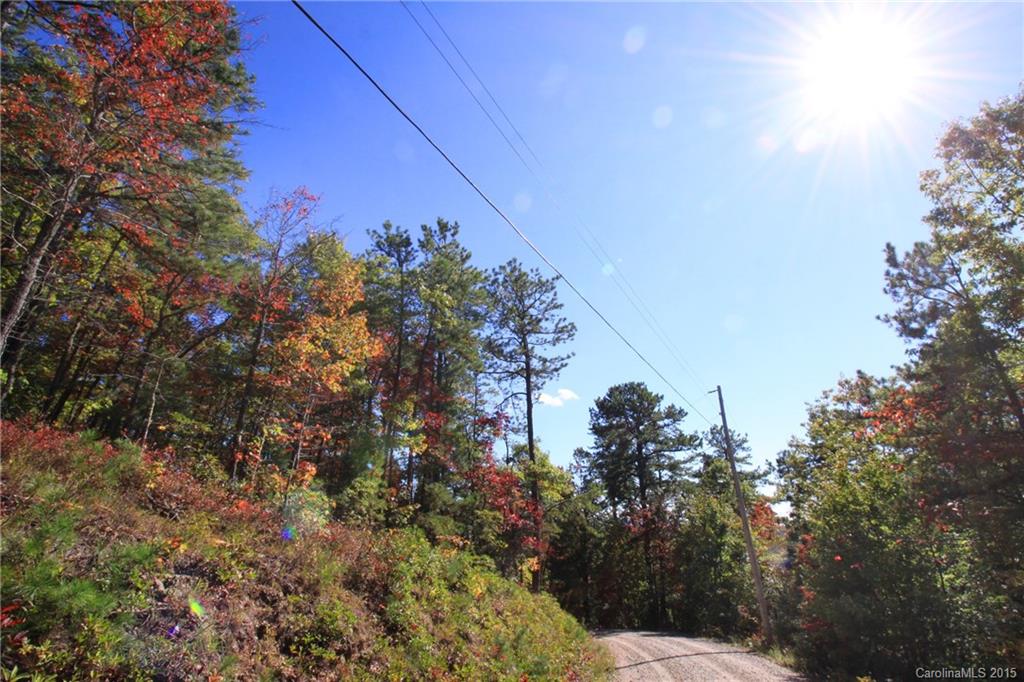 Lot 83 Oak Laurel Road, Unit 83 Brevard, NC 28712 - Photo 14 of 14 Gallery Image 14