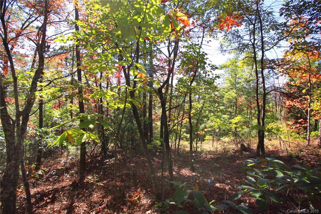 Lot 83 Oak Laurel Road, Unit 83 Brevard, NC 28712 - Photo 4 of 14 Gallery Image 4