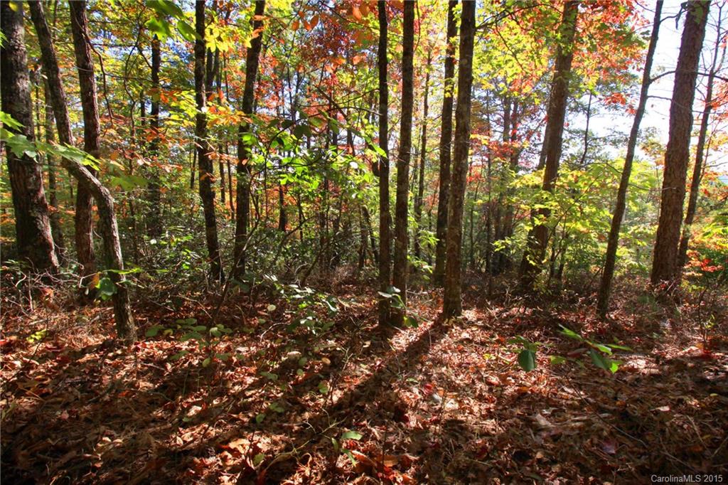 Lot 83 Oak Laurel Road, Unit 83 Brevard, NC 28712 - Photo 5 of 14 Gallery Image 5