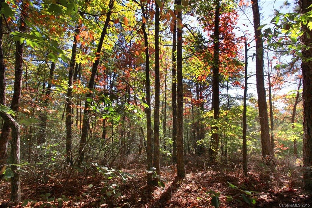 Lot 83 Oak Laurel Road, Unit 83 Brevard, NC 28712 - Photo 6 of 14 Gallery Image 6