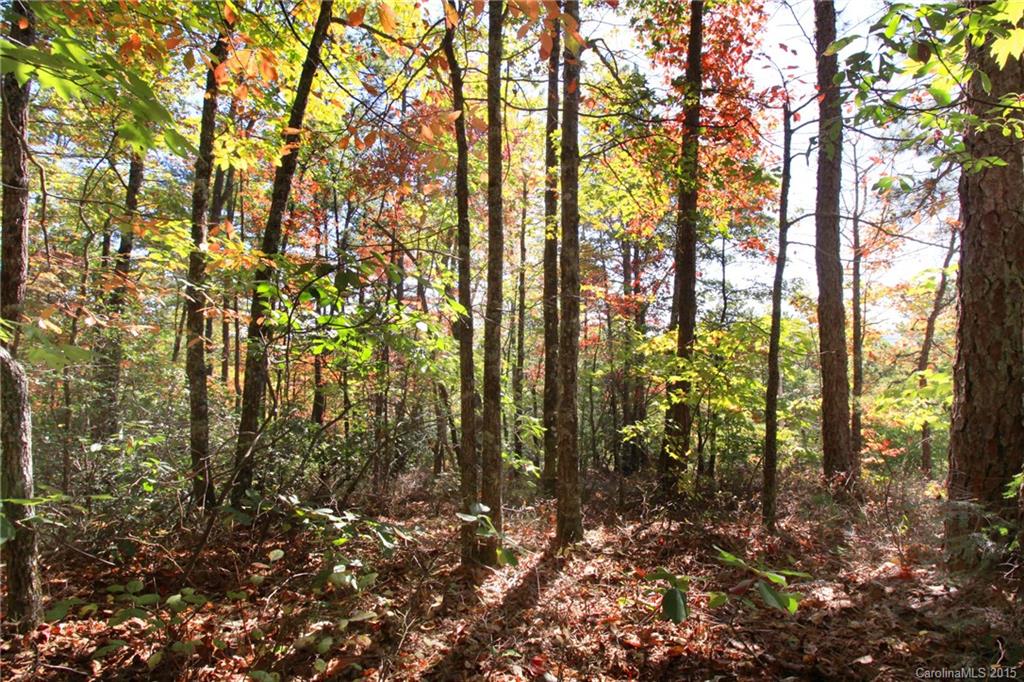 Lot 83 Oak Laurel Road, Unit 83 Brevard, NC 28712 - Photo 7 of 14 Gallery Image 7