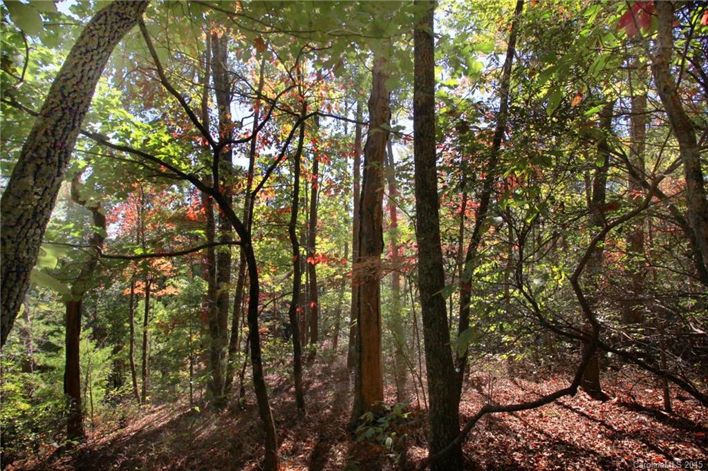 Lot 83 Oak Laurel Road, Unit 83 Brevard, NC 28712 - Photo 10 of 14 Gallery Image 10