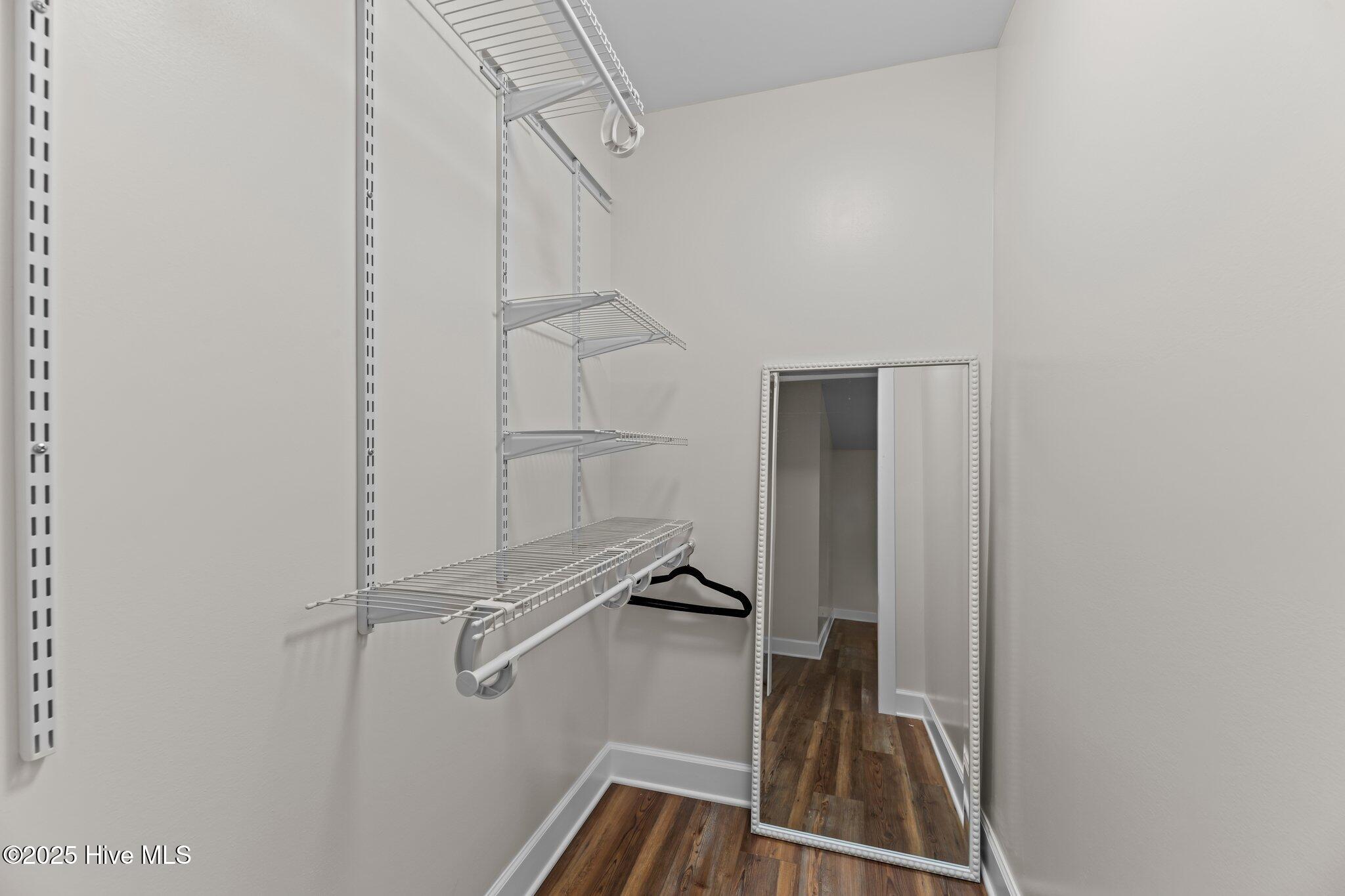 1450 State Camp Road Vanceboro, NC 28586 - Photo 18 of 33 Main Closet
