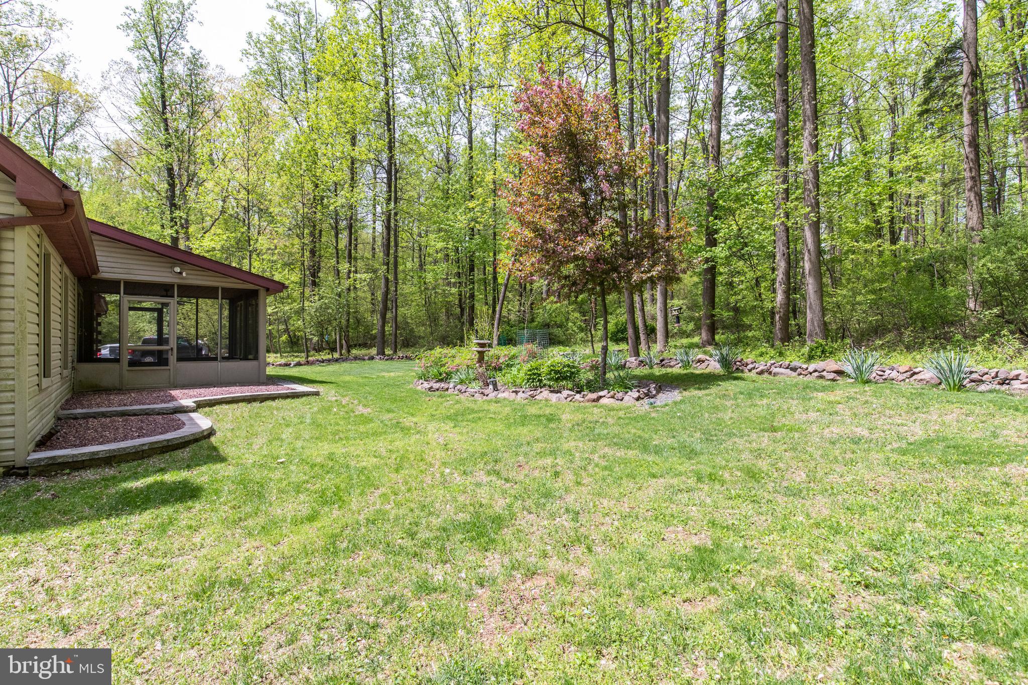 Side of Home and Yard