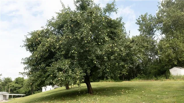 $215,000 | 319 Green Street, St. Joseph, MO 64505