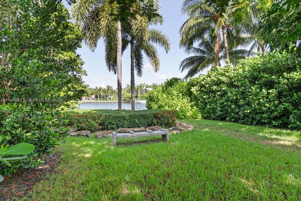 9025 Hawthorne Avenue Surfside, FL 33154 - Photo 47 of 58 a view of a garden with a tree