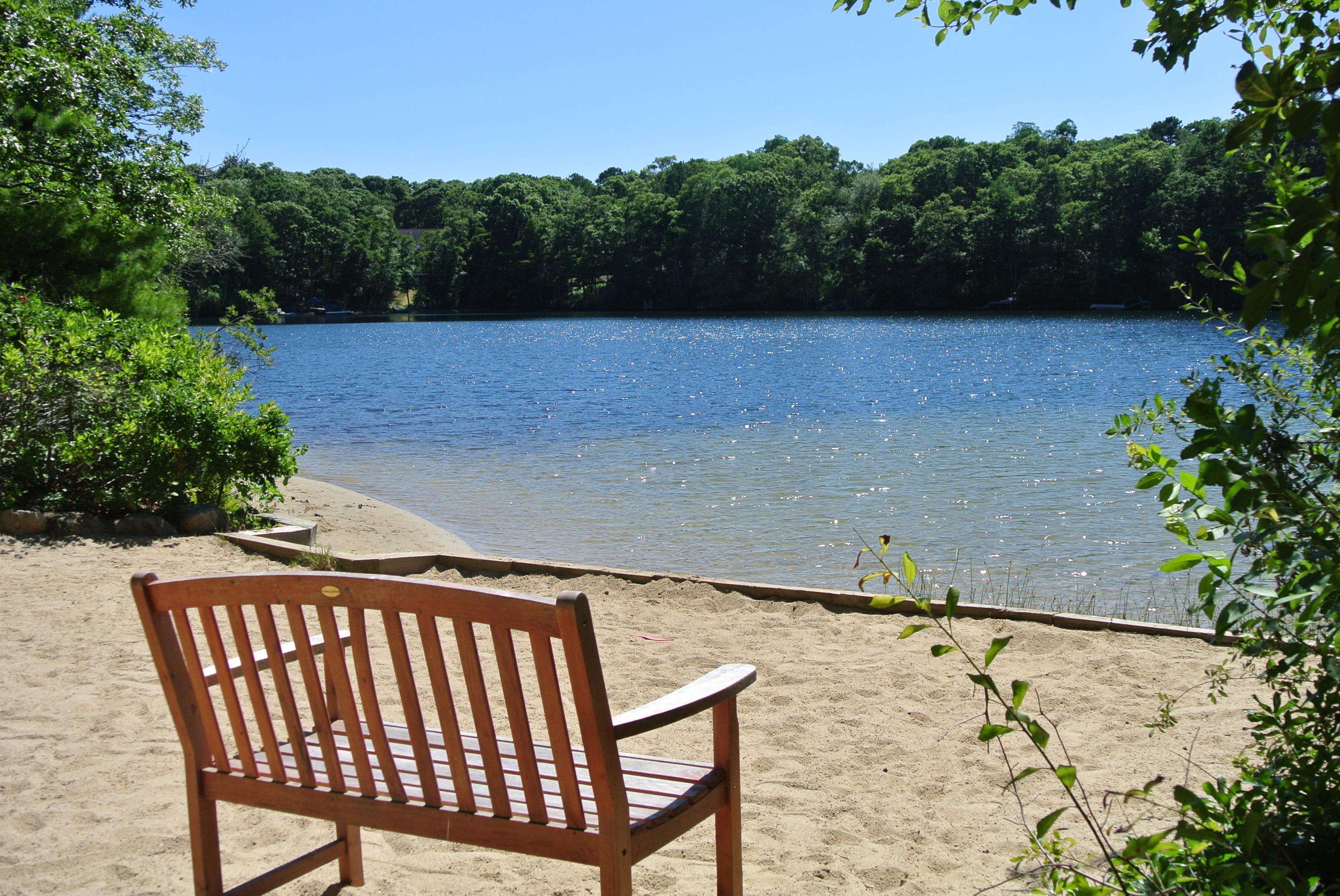 38 Fells Pond Road Mashpee, MA 02649 - Photo 22 of 22 an outdoor view of garden with lots of trees