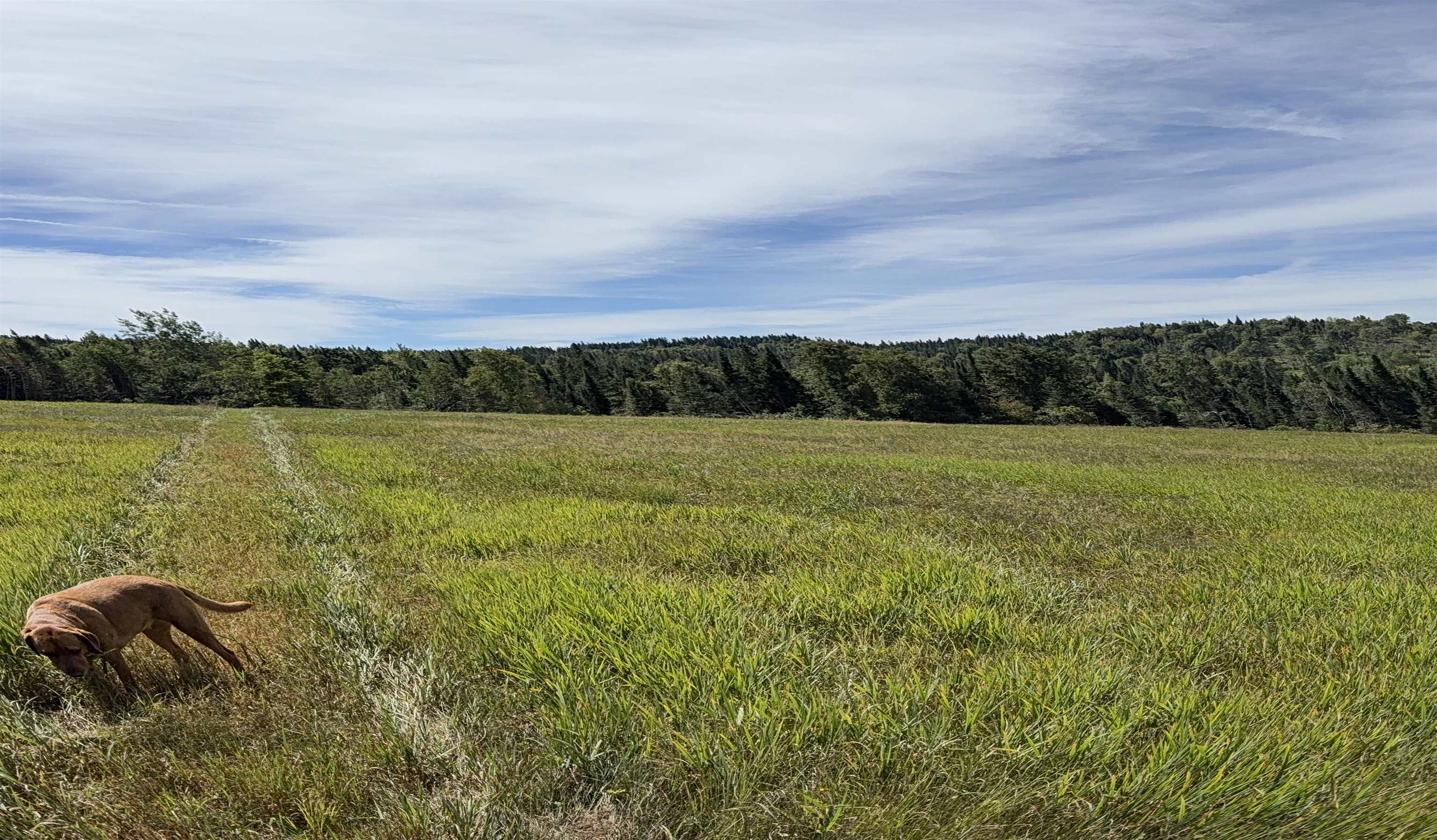 Lot 3 Creampoke Road Stewartstown, NH 03576 - Photo 17 of 18