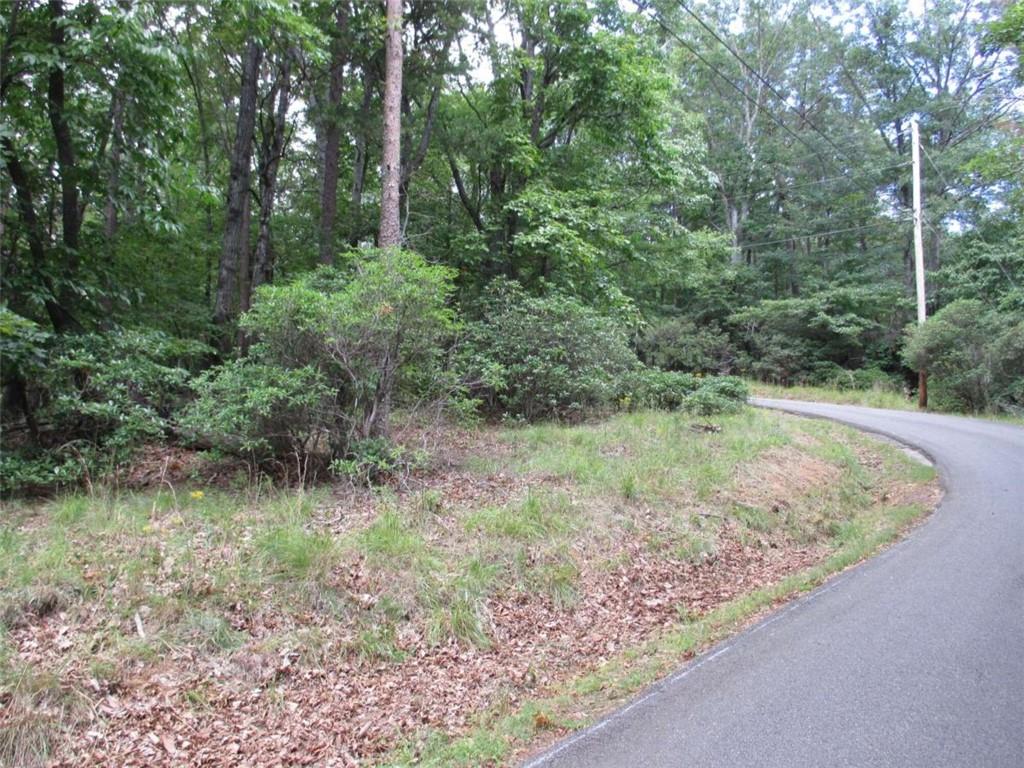 a view of a lush green forest with lots of trees