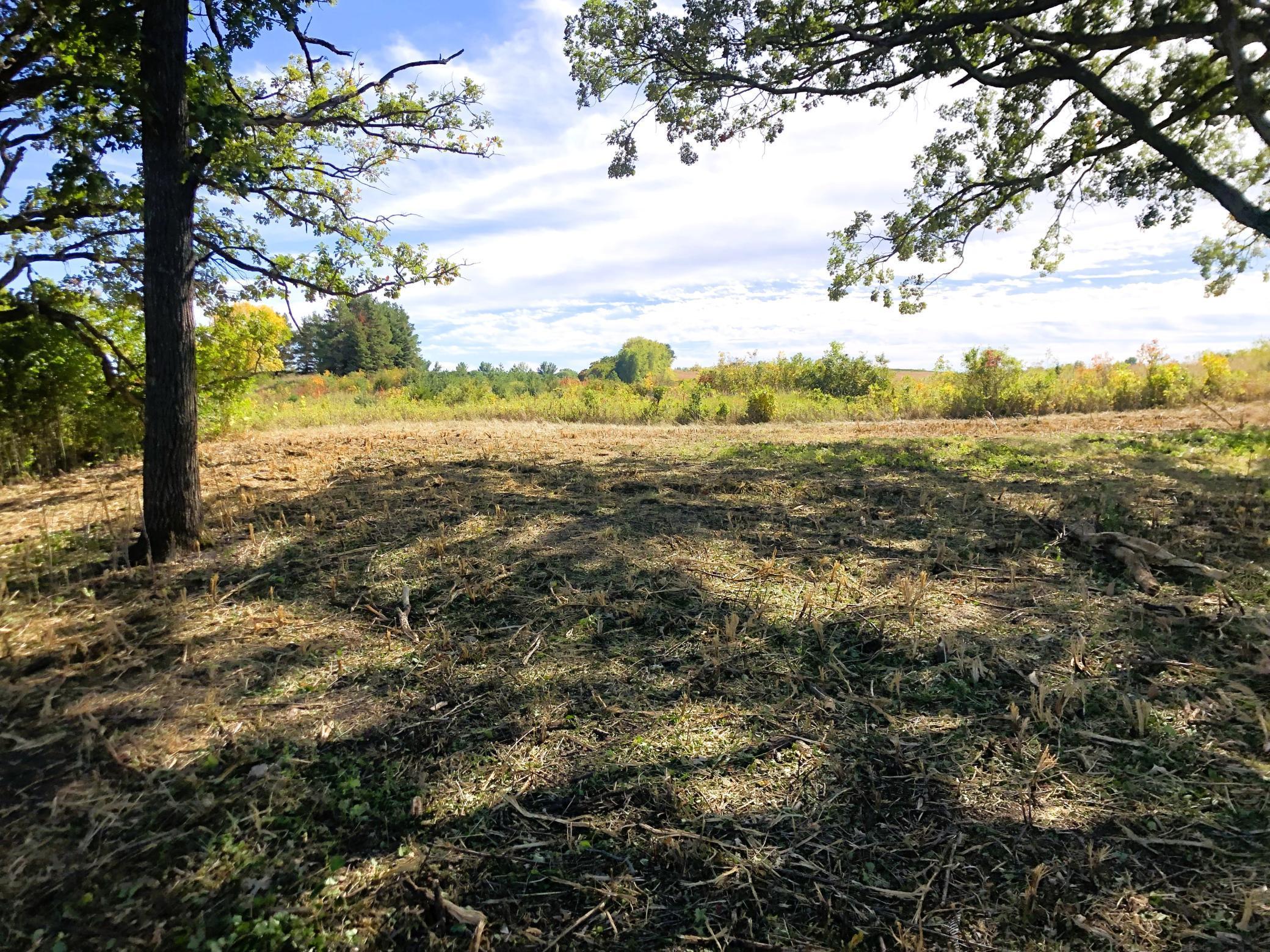 210 Fergus Falls Fergus Falls, MN 56537 - Photo 17 of 33