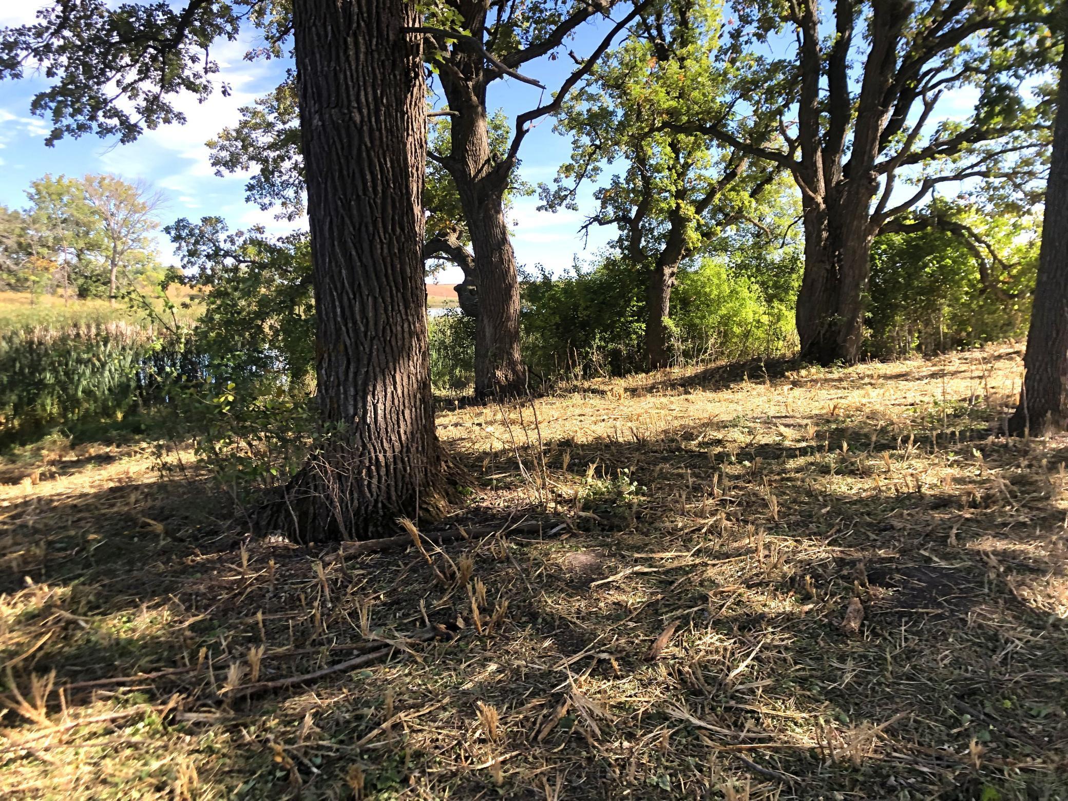 210 Fergus Falls Fergus Falls, MN 56537 - Photo 18 of 33