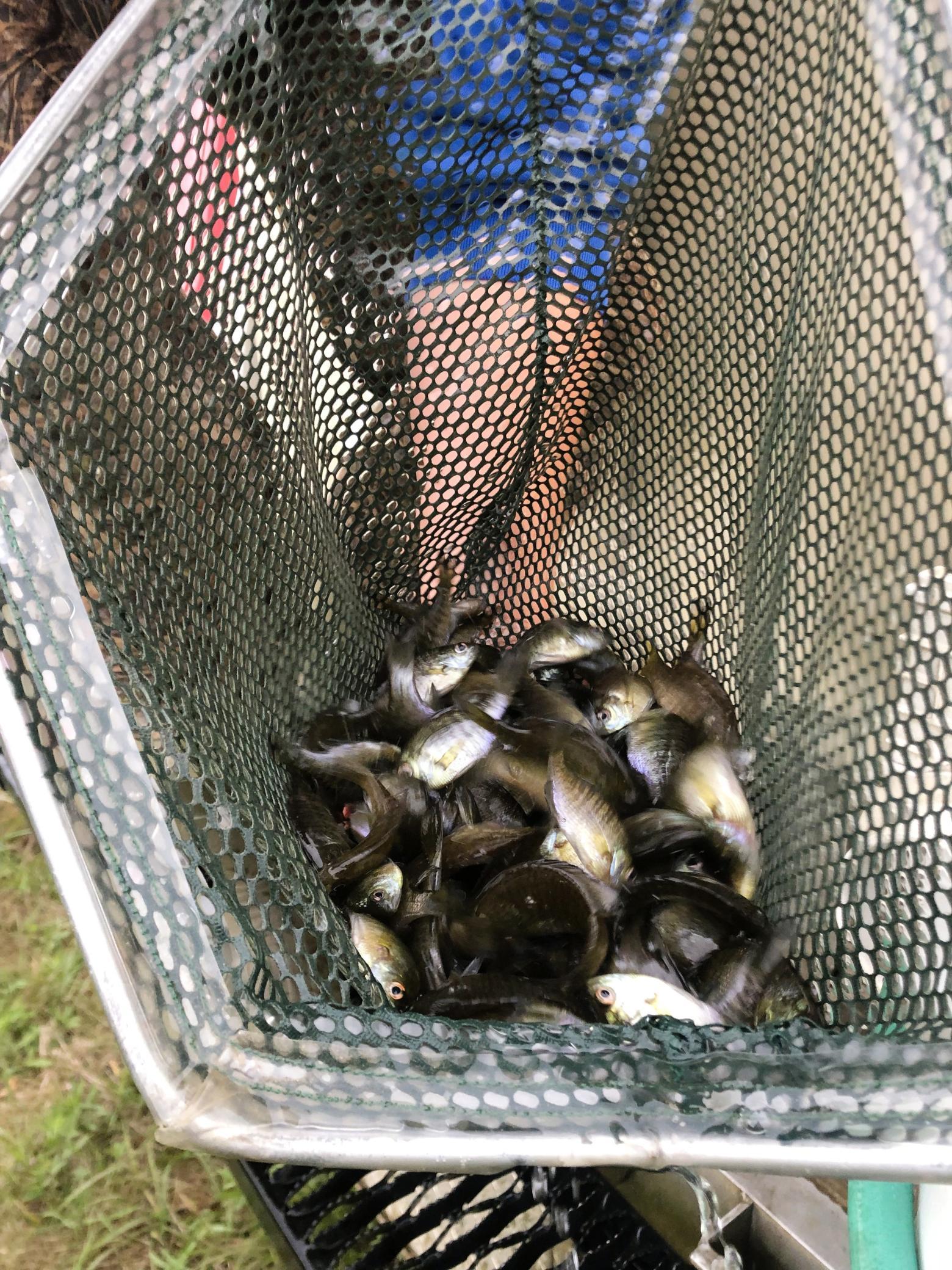 210 Fergus Falls Fergus Falls, MN 56537 - Photo 20 of 33