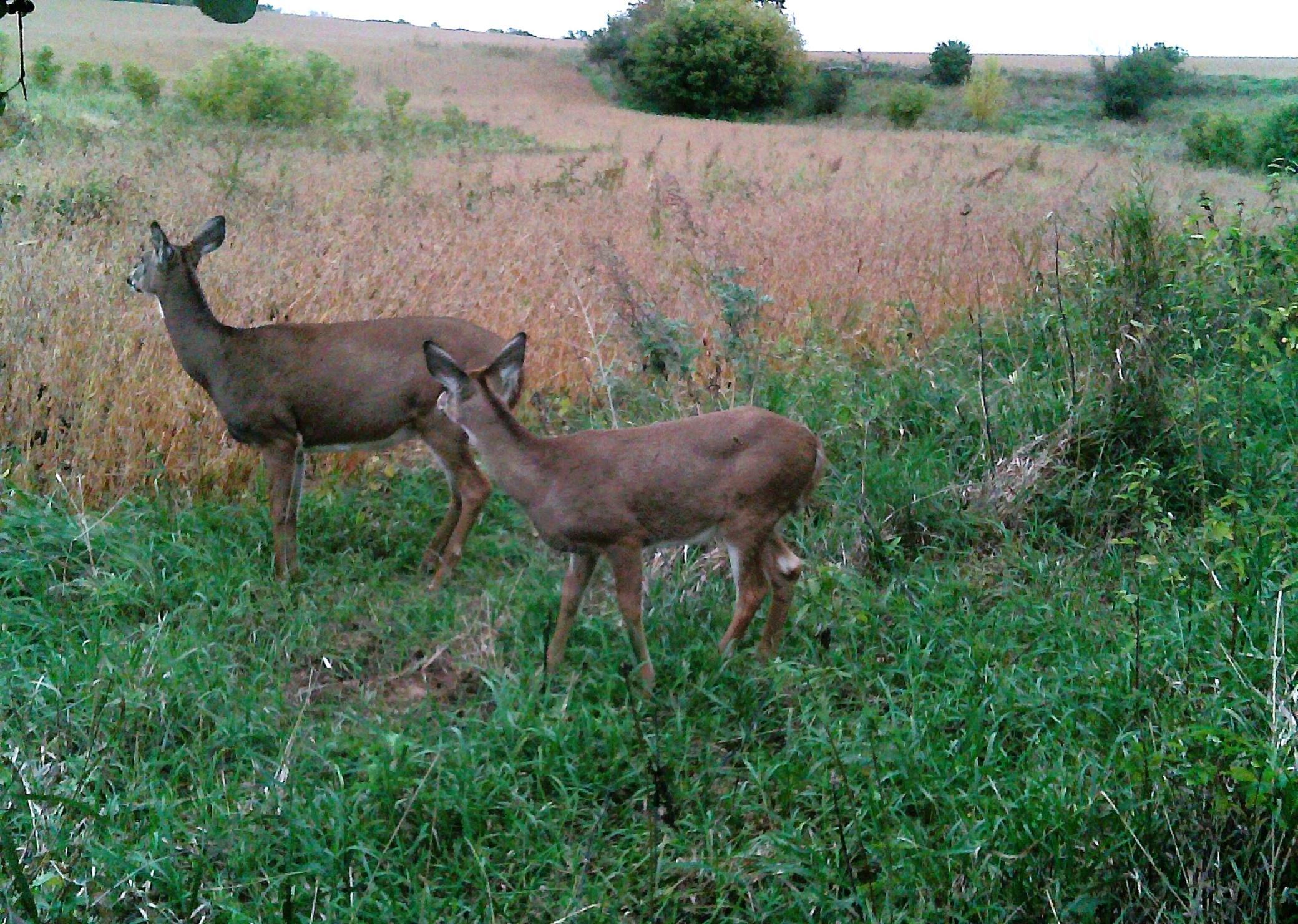 210 Fergus Falls Fergus Falls, MN 56537 - Photo 24 of 33