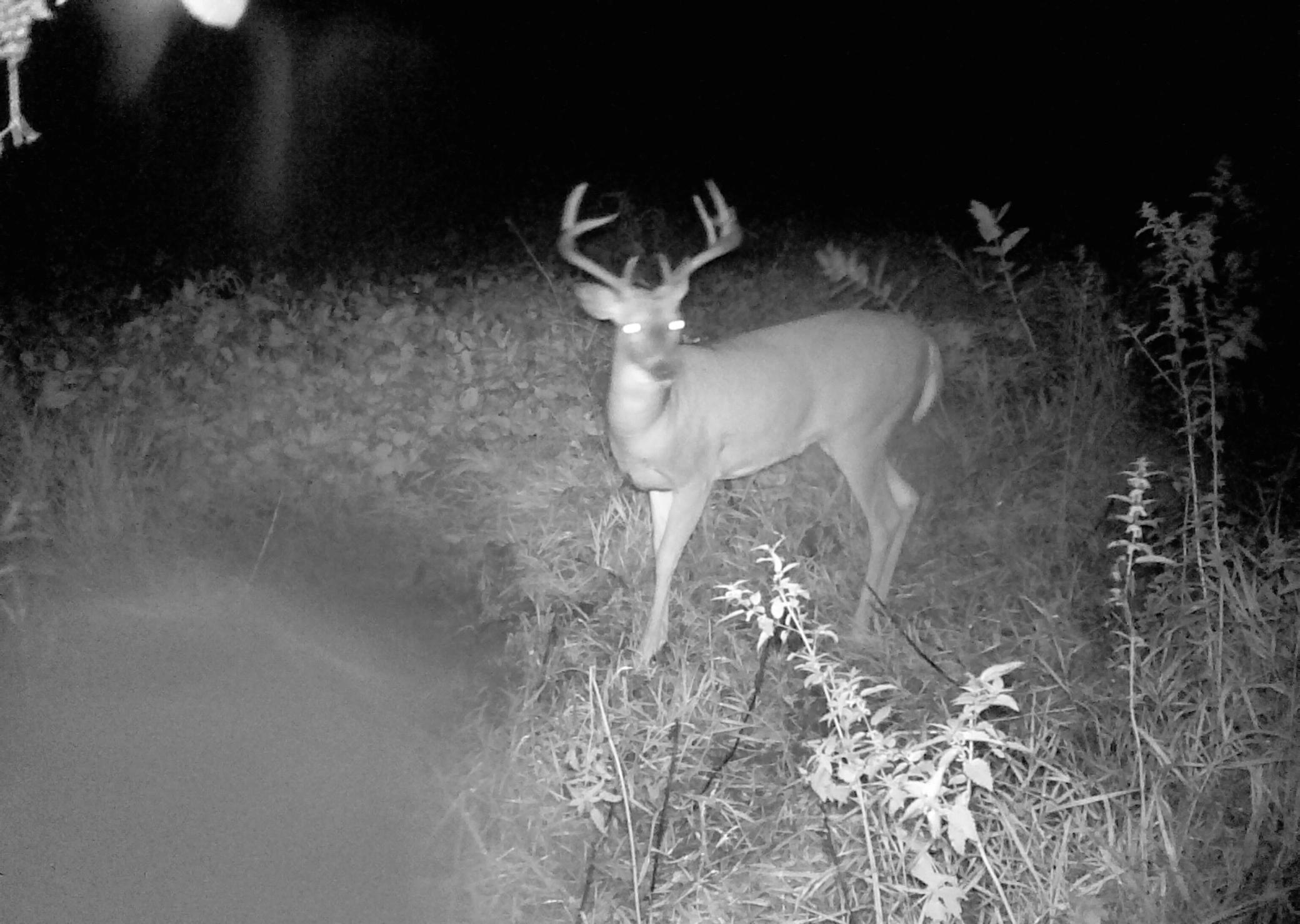 210 Fergus Falls Fergus Falls, MN 56537 - Photo 26 of 33