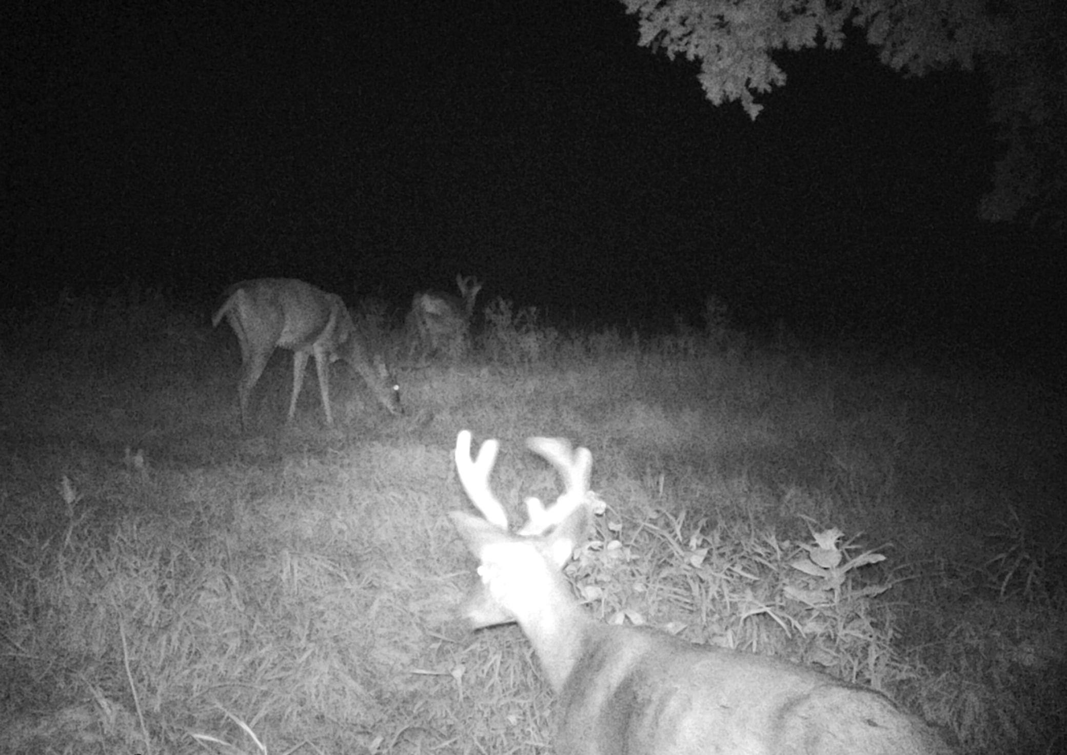 210 Fergus Falls Fergus Falls, MN 56537 - Photo 27 of 33