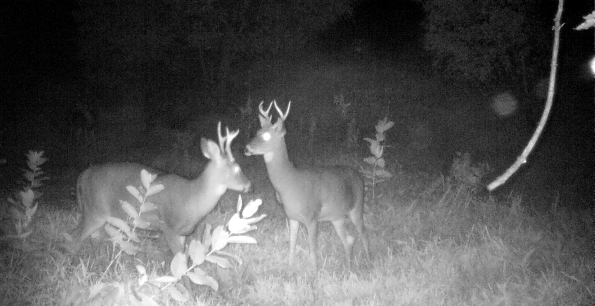 210 Fergus Falls Fergus Falls, MN 56537 - Photo 28 of 33