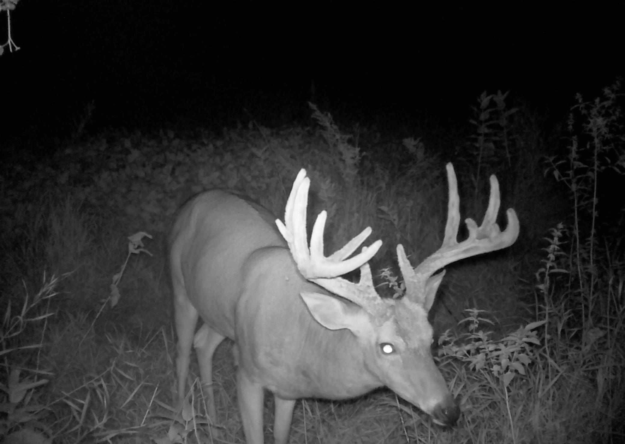 210 Fergus Falls Fergus Falls, MN 56537 - Photo 29 of 33