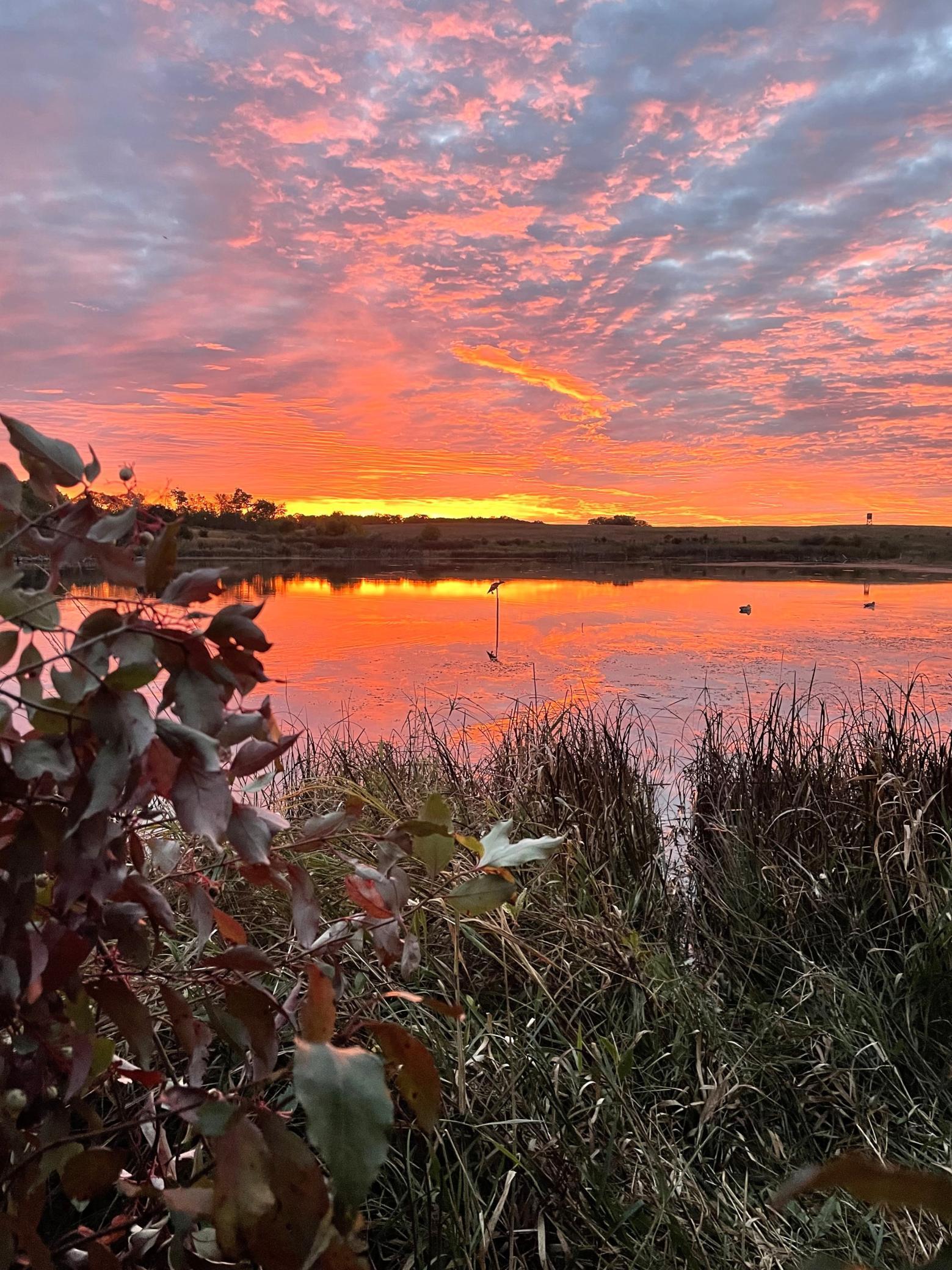 210 Fergus Falls Fergus Falls, MN 56537 - Photo 30 of 33