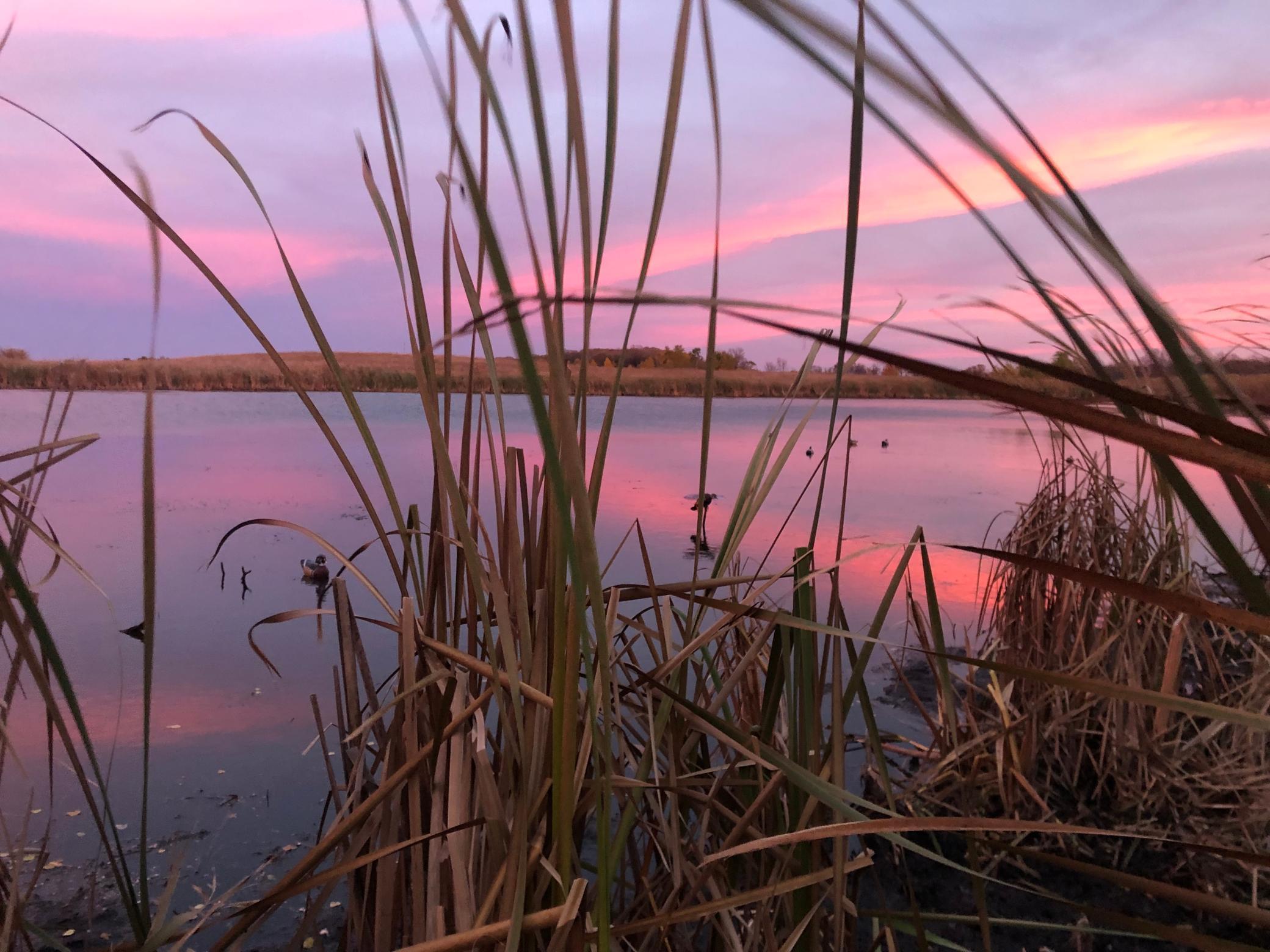 210 Fergus Falls Fergus Falls, MN 56537 - Photo 32 of 33