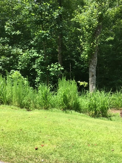 1660-1661 Point Road Westminster, SC 29693 - Photo 3 of 10 Gallery Image 3