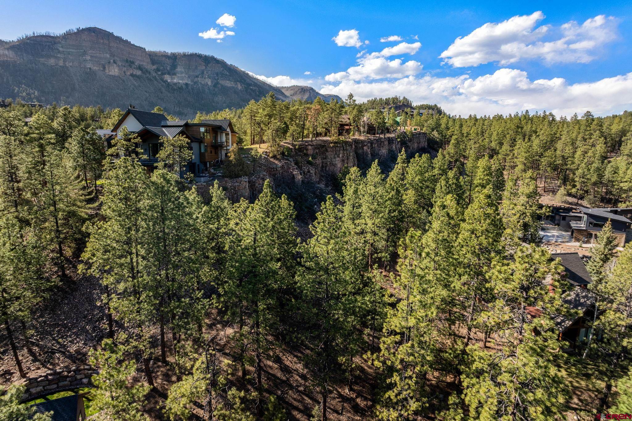 47 Ambush Canyon Durango, CO 81301 - Photo 5 of 18