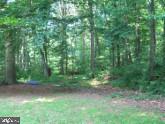 88 Mohns Hill Road Reinholds, PA 17569 - Photo 18 of 25 Gallery Image 18