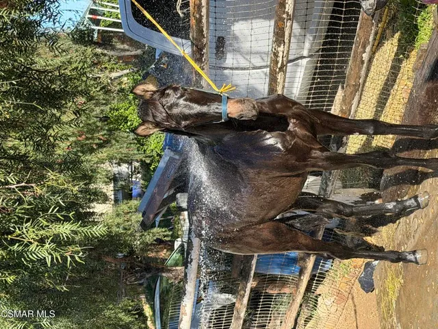 $1,290,000 | 1324 Rudolph Drive, Newbury Park, CA 91320