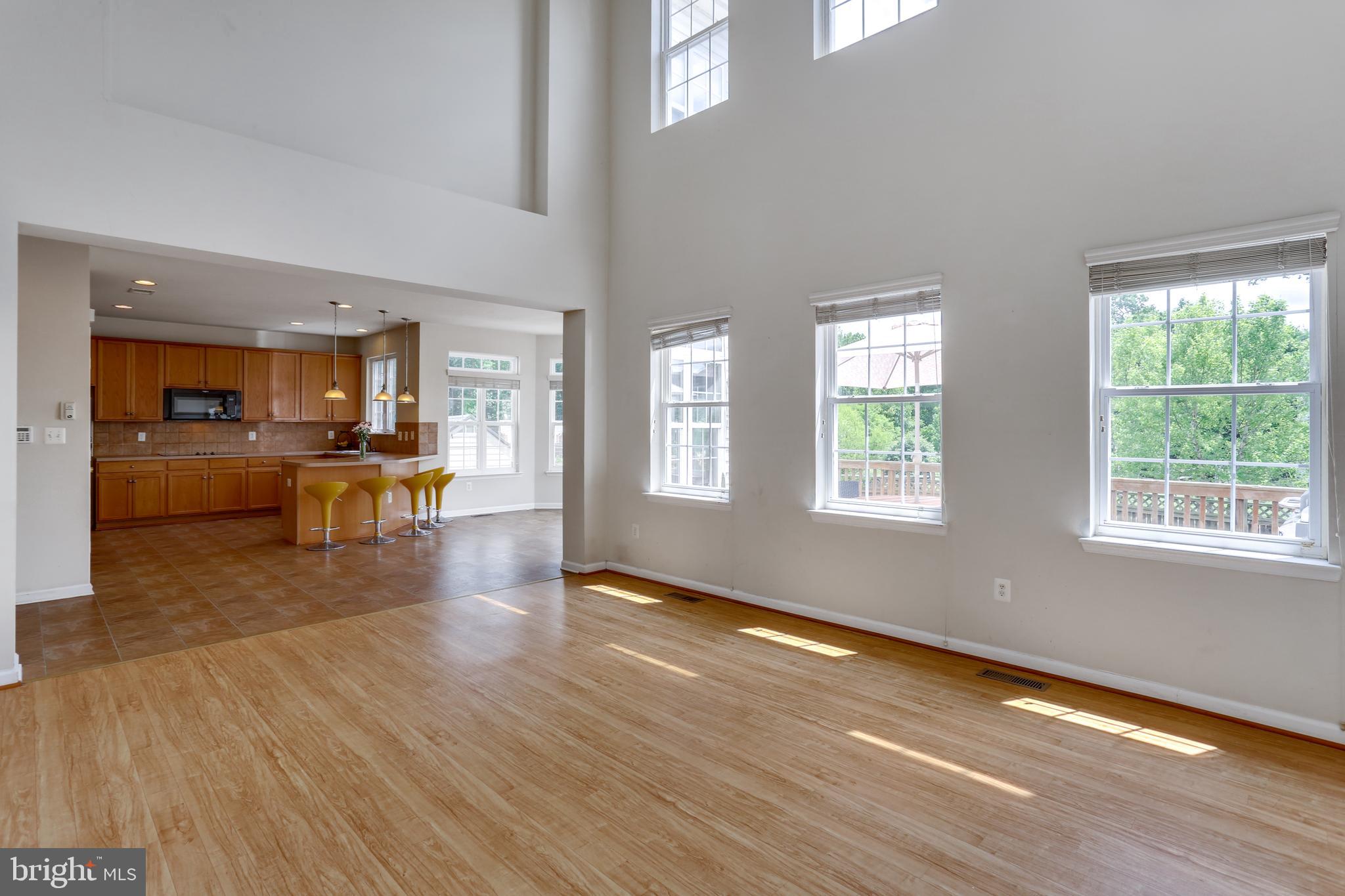 19 Rivers Edge Terrace Indian Head, MD 20640 - Photo 15 of 53 Open family room with ample natural lighting