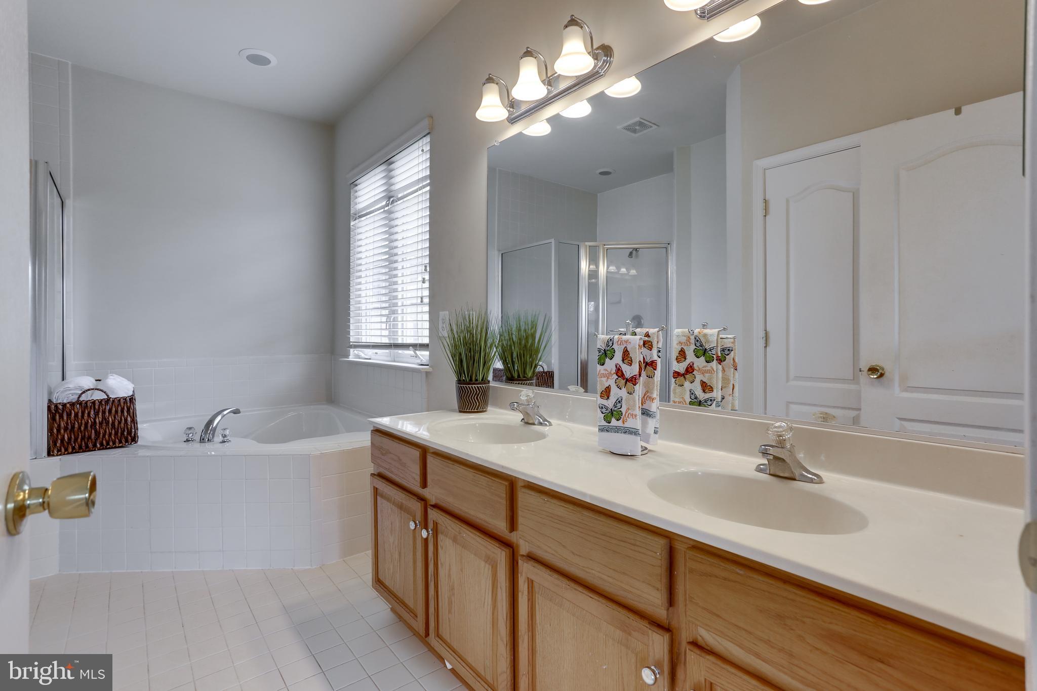 19 Rivers Edge Terrace Indian Head, MD 20640 - Photo 30 of 53 Master bathroom with soaking tub and dual vanity