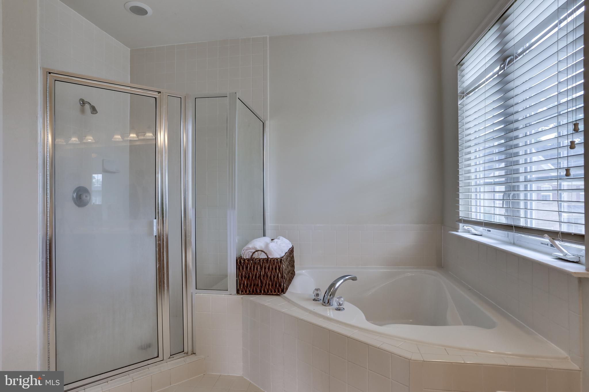 19 Rivers Edge Terrace Indian Head, MD 20640 - Photo 31 of 53 Master bathroom with soaking tub & separate shower